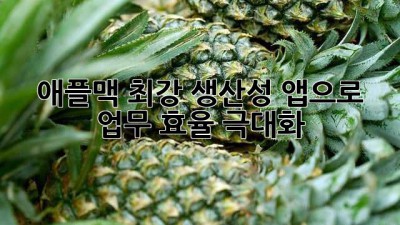 애플맥 최강 생산성 앱으로 업무 효율 극대화!